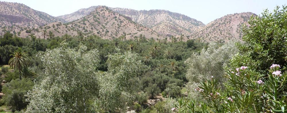 Palais Villa Talaa Resort Taroudant Exteriör bild